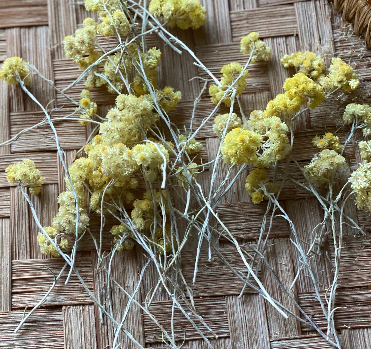 SauveÂge No.4 Masque Capillaire à l'Argousier Immortelle Sauvage