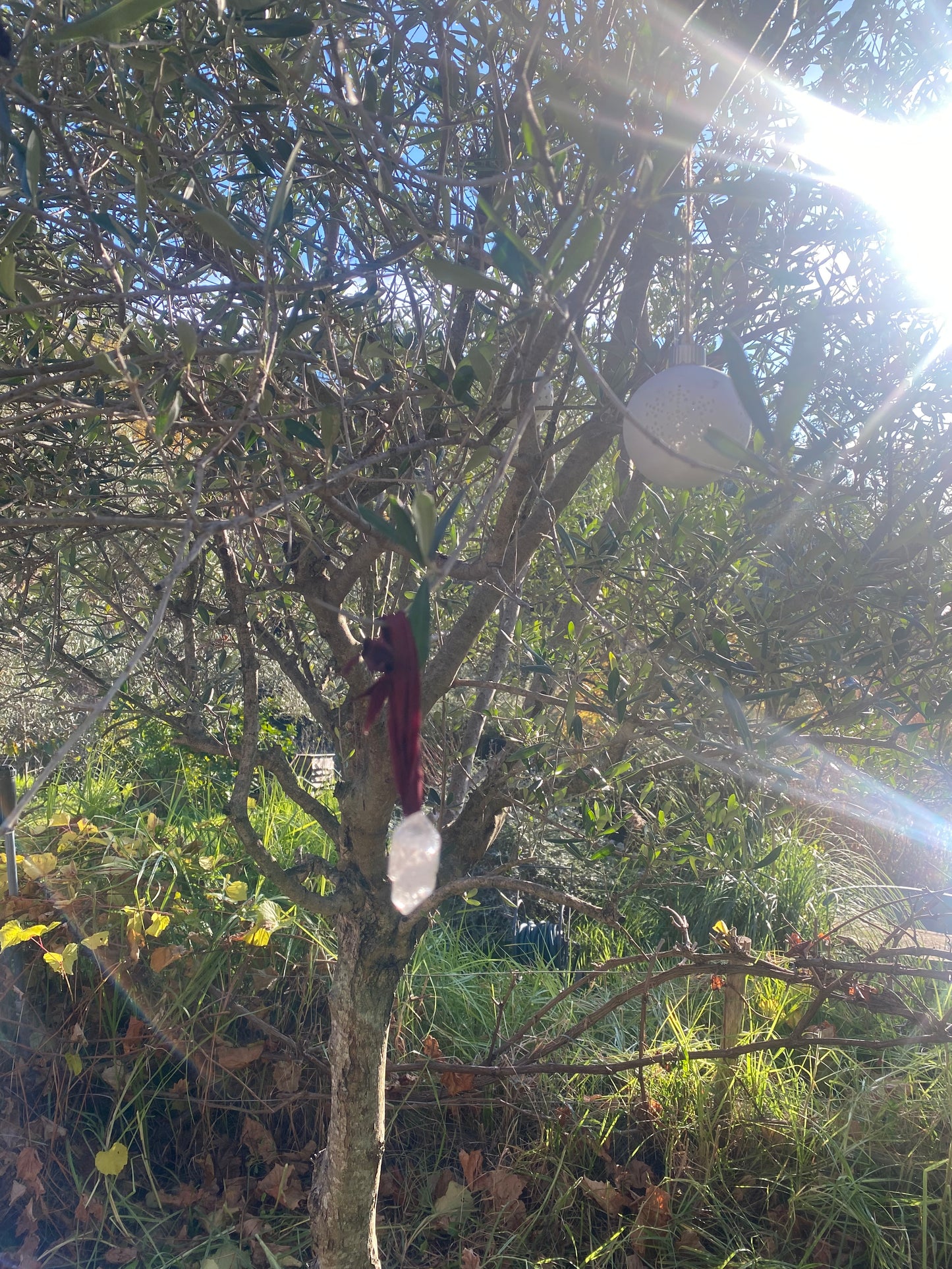 Crystal Holiday Ornament